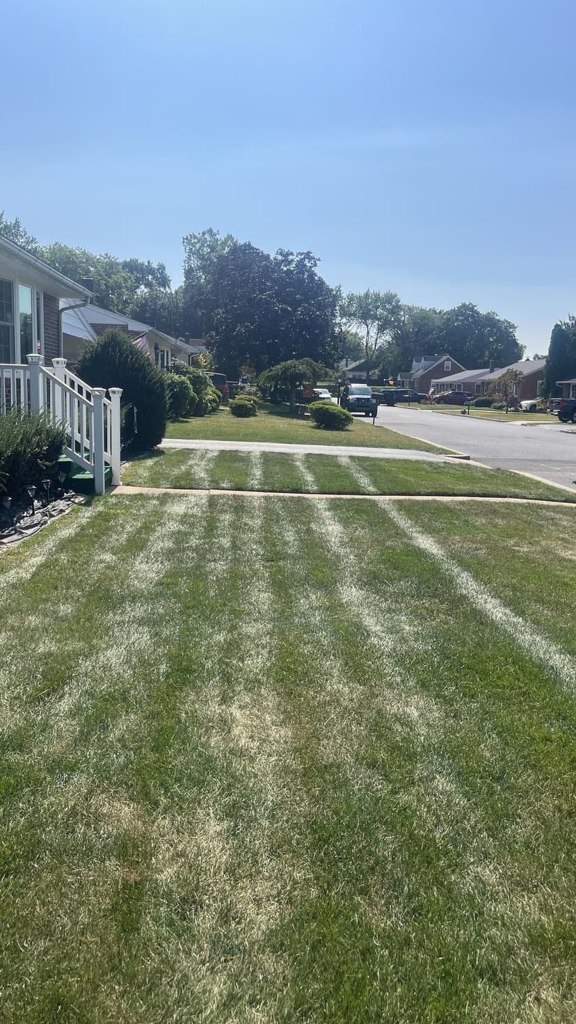 Lawn care service in progress
