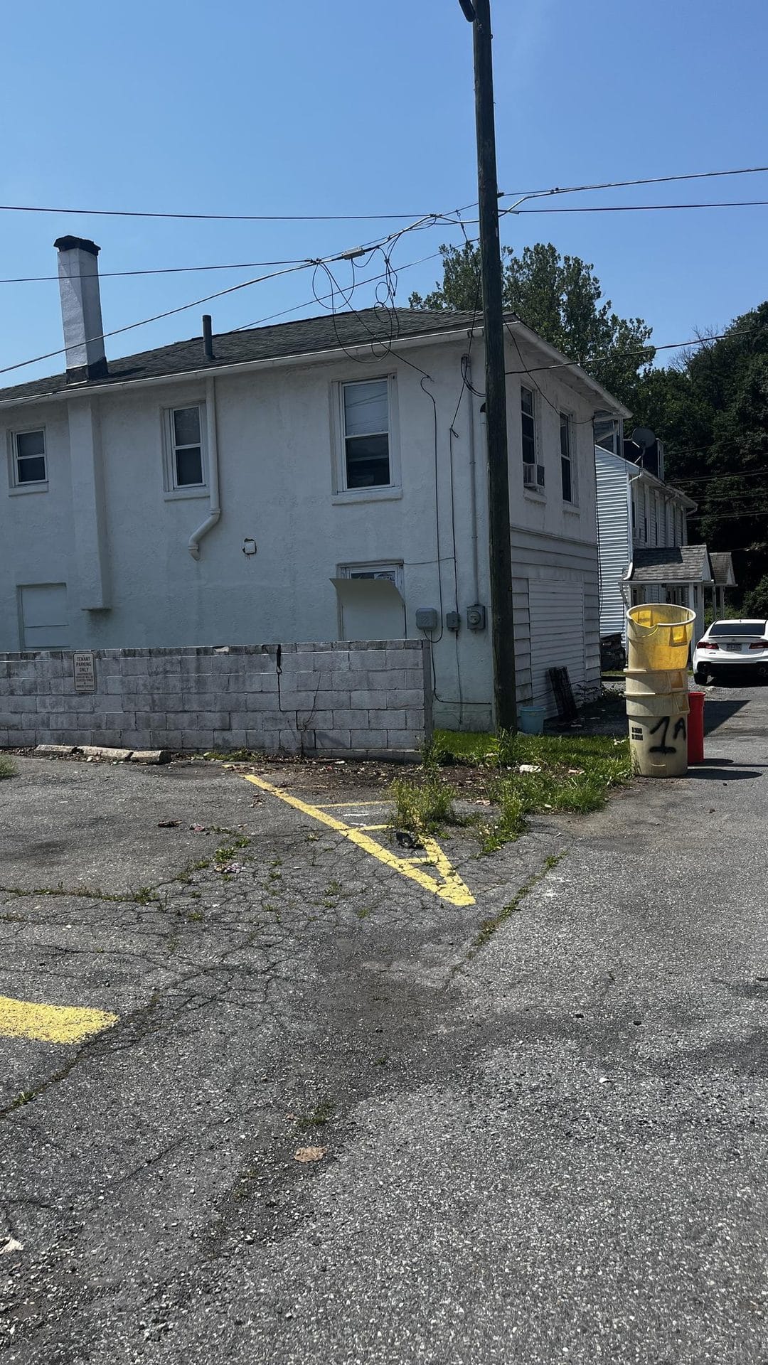 Same commercial property fence line after cleanup