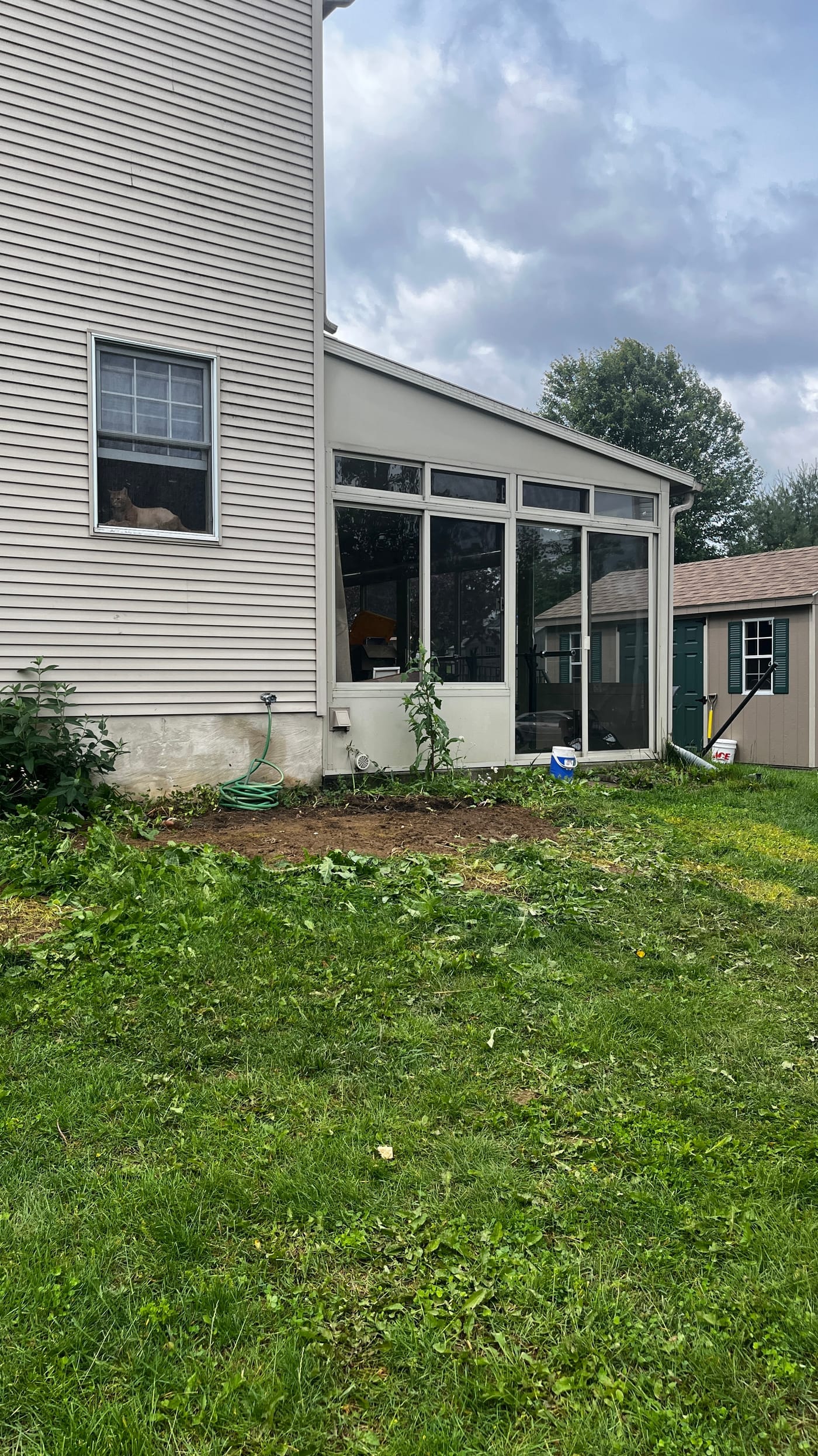 Same yard area cleared after furniture and debris removal